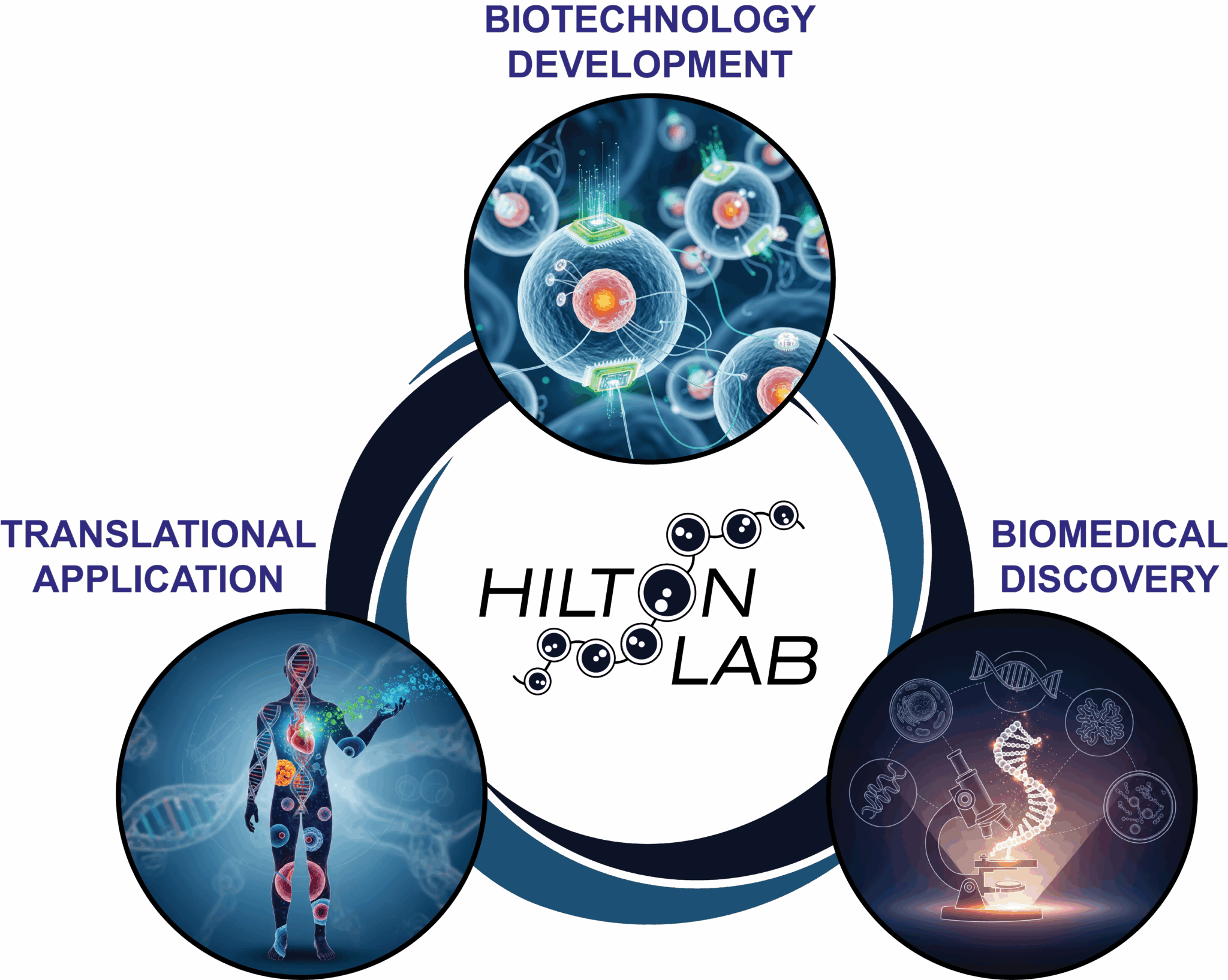 Research - Hilton Lab – Rice University